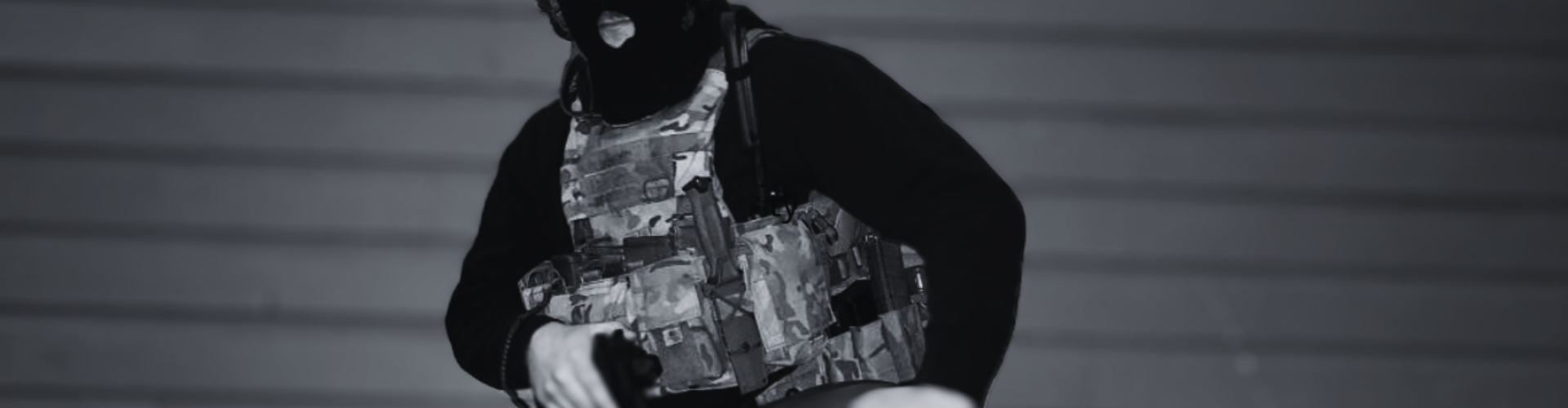 Platecarrier12u38324 (1920 × 500 px)